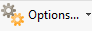 forms.options.ribbon