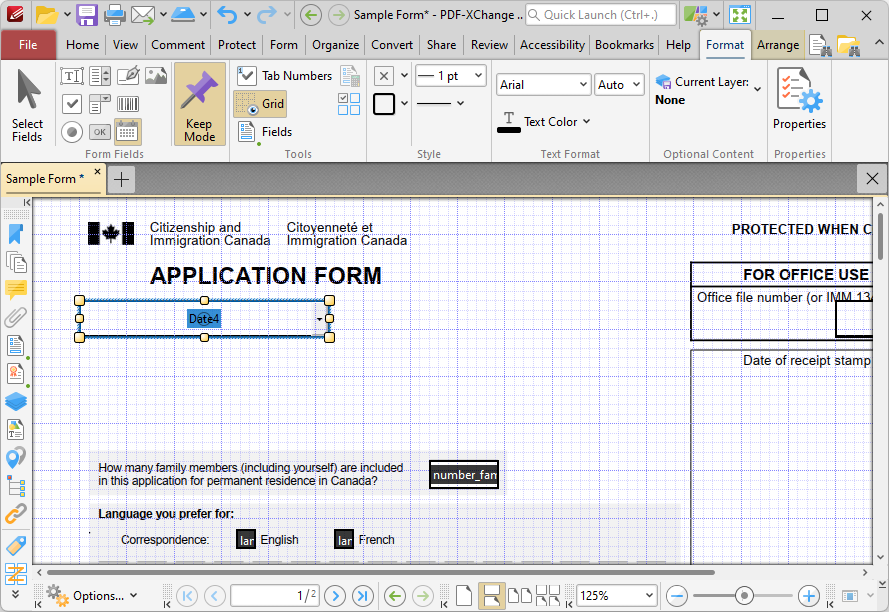format.tab.date.field