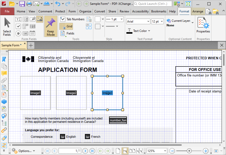 format.tab.image.fields