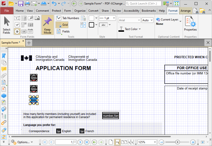 format.tab.radio.ribbon